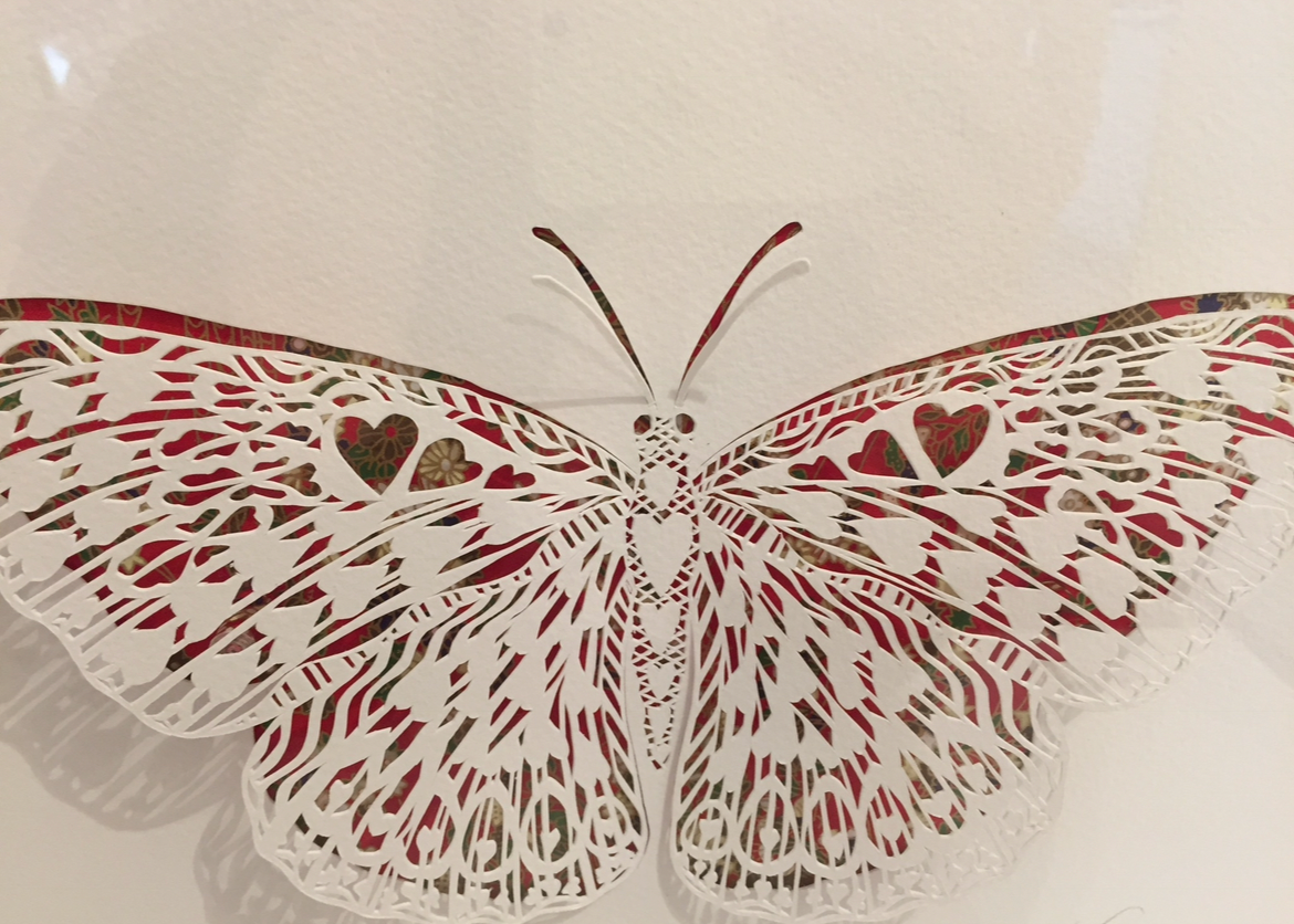 Butterfly