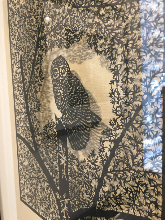 Owl
