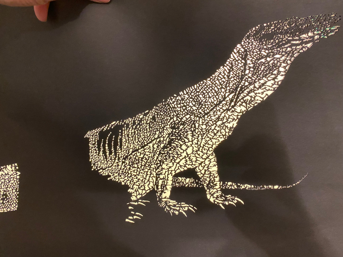 komodo dragon