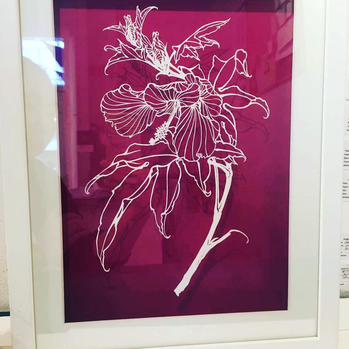 Hibiscus rosa- sinensis