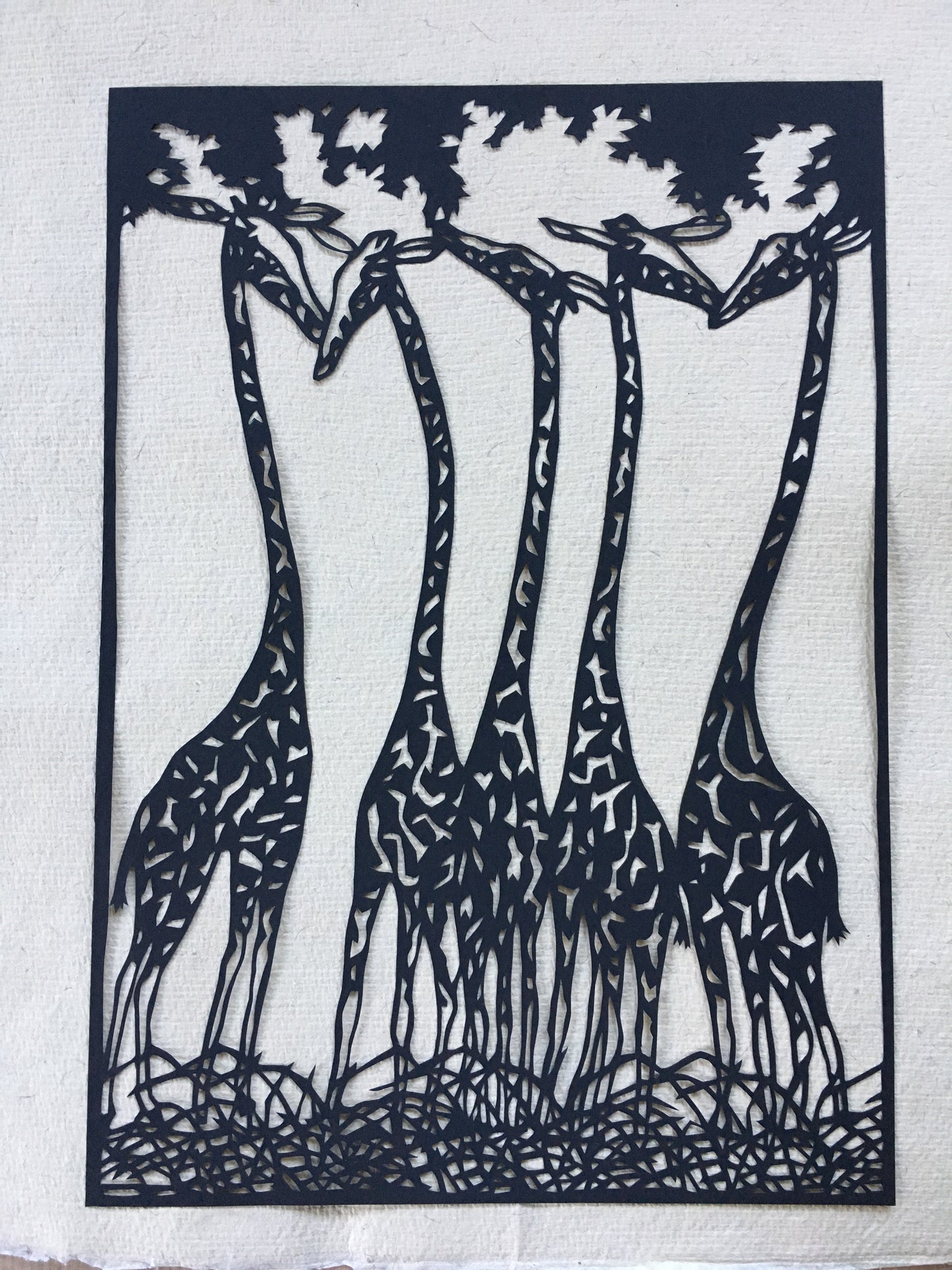 Giraffes